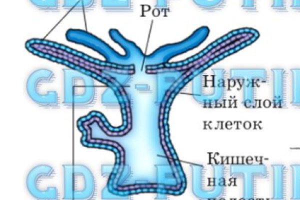 Кракен шеринг