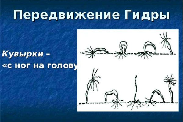 Kraken whitenet market ссылка тор