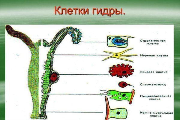 Кракен зеркало