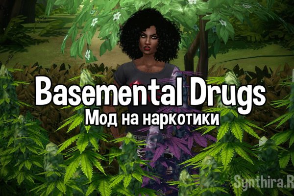 Что за приложение кракен