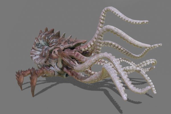 Kraken tor onion зеркало