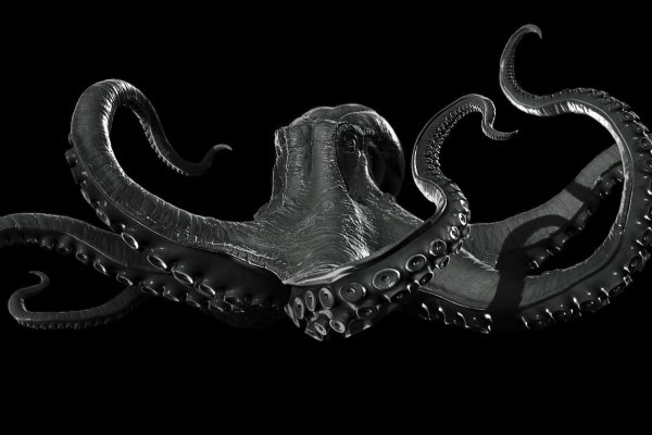 Kraken whitenet официальный сайт