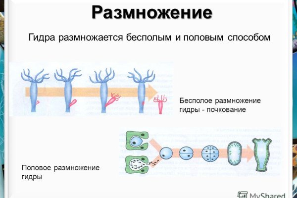 Kraken ссылки актуальные 2025 г